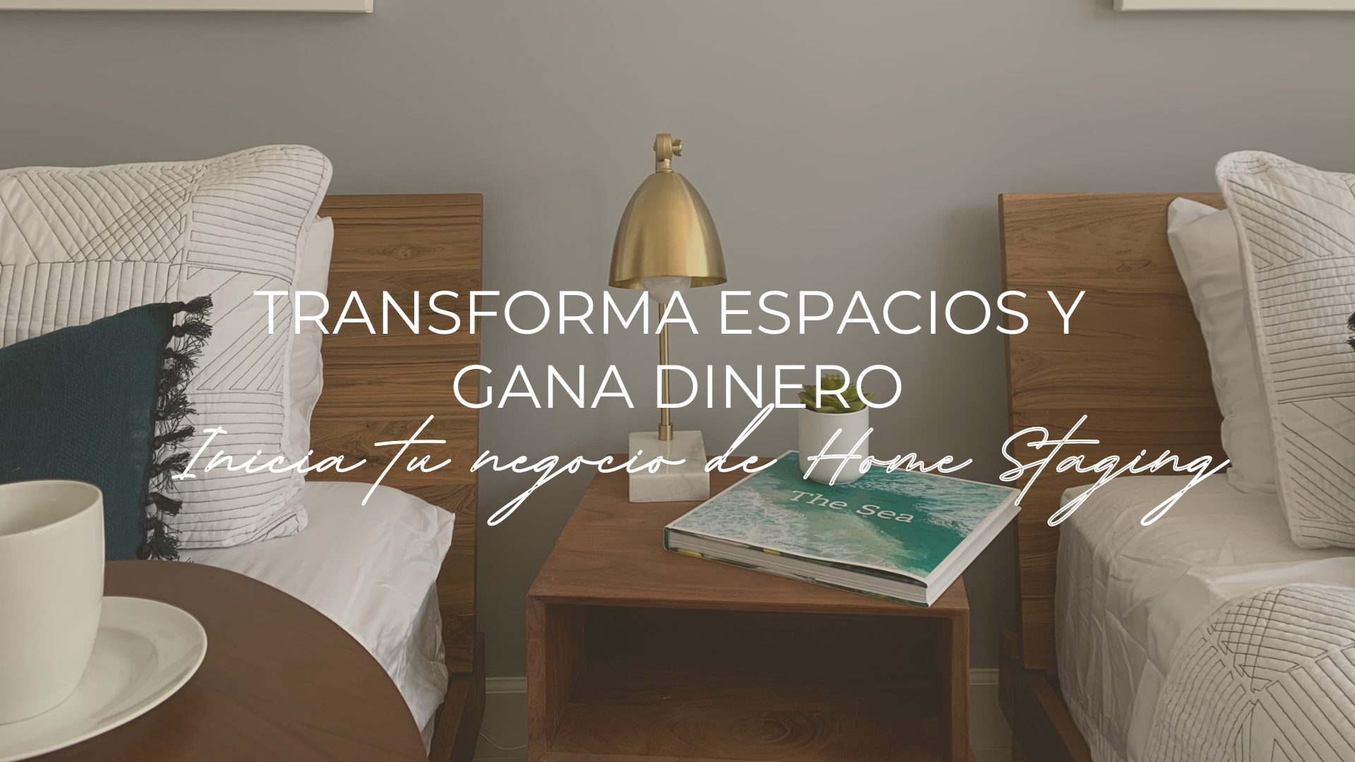 Curso “Transforma Espacios y Gana Dinero”